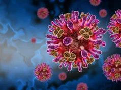 隱藏的蝙蝠病毒正在人類中傳播