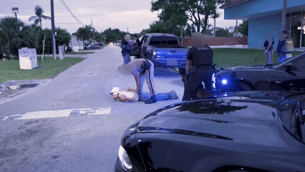 ICE-Apprehension-MS13-Fox-News-01.gif