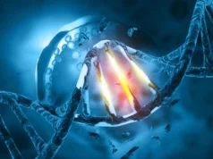 為什麼同樣的 DNA 損傷會導致某些人罹患癌症?但對其他人卻不然。