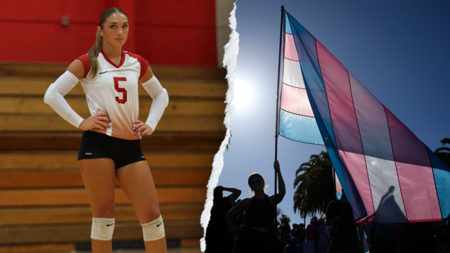 2splitvolleyballandtransflag.png
