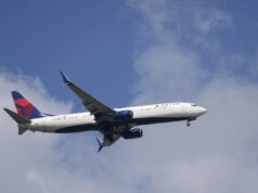 達美航空和聯合航空禁止人形機器人和動物搭乘航班