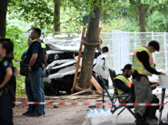 汽車衝撞人群造成1人死亡、17人受傷;世界領導人在警方展開調查時表示聲援