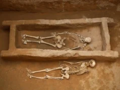 古DNA揭示了中國4000年歷史的世茂古城的怪異秘密