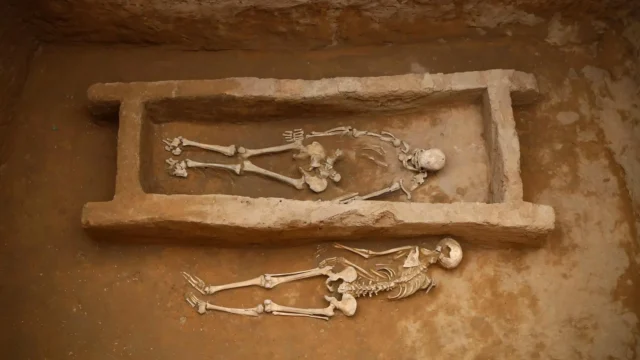 high-level-burial-at-zhaishan.webp.webp