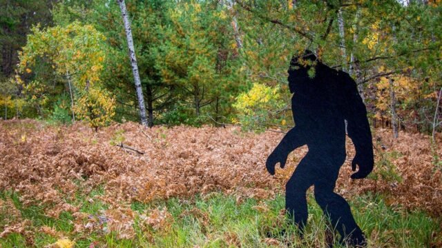 man_says_children_spotted_bigfoot_in_woods.jpg