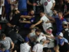 恶毒的暴徒在看台上斗殴,导致美国职业棒球大联盟 (MLB) 比赛陷入混乱 Vicious thugs send MLB game into chaos as they throw brawl in stands