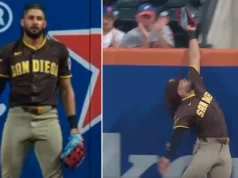 MLB 球星以令人难以置信的接球抢走了对手的大满贯本垒打 MLB star robs rival of grand slam home run with unbelievable catch