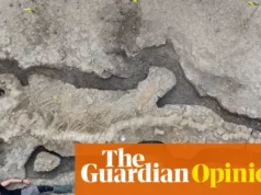 卫报对化石出口的看法:它们值得国宝地位社论 The Guardian view on the export of fossils: they deserve national treasure status | Editorial