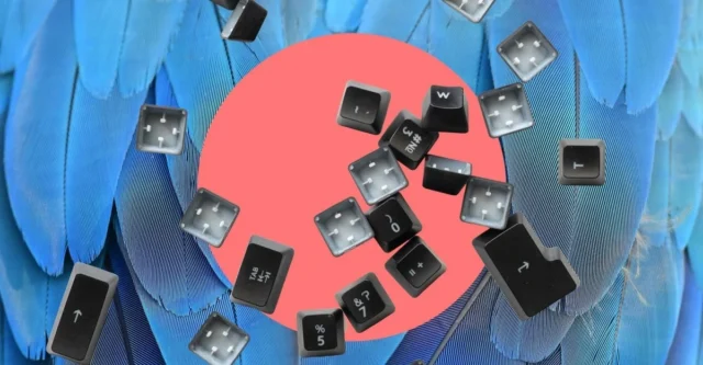 我的鹦鹉吃了我的键盘
