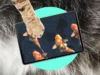 哎呀!我的猫是 iPad 小孩 Oops! My cat is an iPad kid