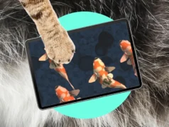 哎呀!我的猫是 iPad 小孩 Oops! My cat is an iPad kid