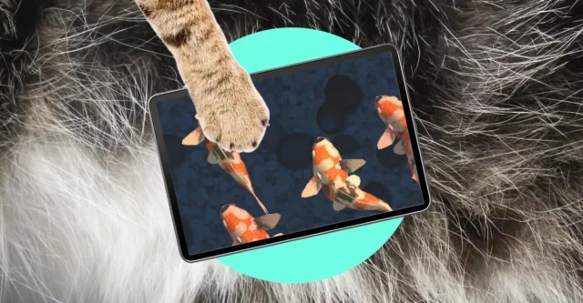 哎呀!我的猫是 iPad 小孩 哎呀!我的猫是 iPad 小孩