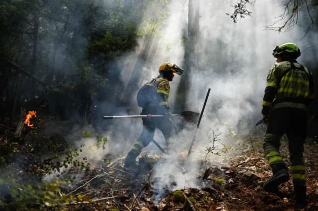 照片|主要疏散和消防行动……森林大火席卷欧洲许多地区