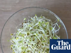 美国官员表示,苜蓿芽与 15 个州爆发的食物中毒事件有关 Alfalfa sprouts linked to food-poisoning outbreak in 15 states, US officials say