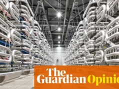 能源民族主义和互联:下一个能源威胁? |尼尔斯·普拉特利 Energy nationalism and interconnectors: the next power threat? | Nils Pratley