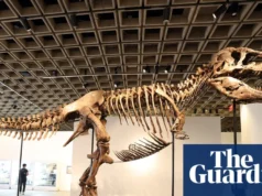 超级富豪收集化石。这对科学不利 – 视频 The ultra rich are collecting fossils. And that’s bad for science - video