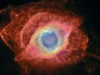 科学家发现死亡恒星可以预测太阳的未来:“分裂并返回银河系” A blue circle surrounded by pink and yellow rings. There is a reddish structure all around this.