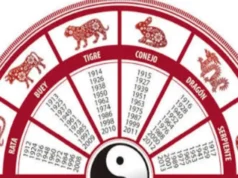 马、鼠、虎、鸡:八月重新开始的中国星座四大生肖 Caballo, Rata, Tigre y Gallo: los 4 signos del Horóscopo Chino que empezarán de nuevo en agosto