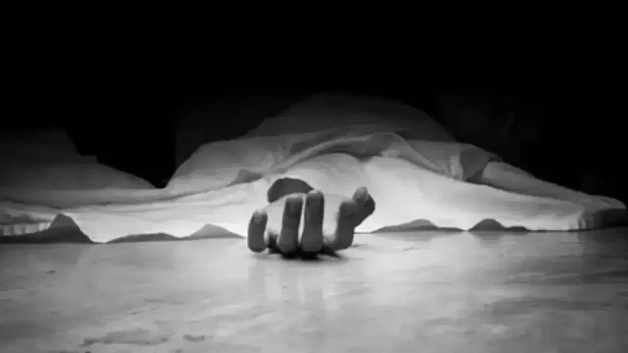 旁遮普男子在纽约送披萨时被枪杀。印度使团获得帮助 代表性图像。图片文件