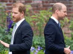 哈里王子和威廉王子的照片中的关系 Prince Harry & Prince William’s Relationship in Photos