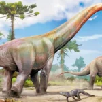 20-metre dinosaur discovered in Brazil points to ancient Europe connection