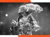 格温·史蒂芬妮 (Gwen Stefani) 今年秋天将来到大西洋城。今天就买票吧。 Gwen Stefani is coming to Atlantic City this fall. Get tickets today
