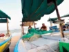 伊朗就霍尔木兹海峡主权问题回击特朗普 Fishermen check their nets near Bandar Abbas city, along the Strait of Hormuz. PIC/AFP
