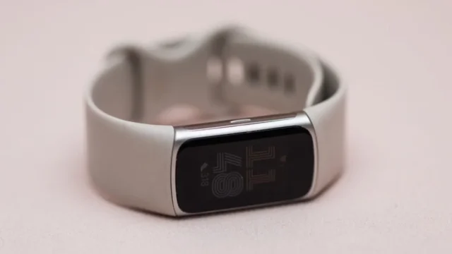 谷歌可能已经泄露了其下一代 Fitbit 或允许人工智能产生幻觉 谷歌可能已经泄露了其下一代 Fitbit 或允许人工智能产生幻觉