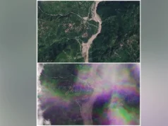 恐怖视频捕捉到人们逃离中尼边境山体滑坡的画面 Terrifying video captures people fleeing incoming mudslide at Nepal-China border