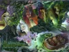 华特迪士尼世界的恶棍乐园获得正式名称,D23 的怪异背景 frozen 2