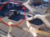 电影中:开枪、逃跑、倒车和警察撞上内乌肯 De película: tiros, fuga, marcha atrás y policías arrollados en Neuquén
