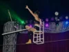 Diario Panorama 为您提供欣赏 Rokadax 马戏团表演的门票 Diario Panorama te regala entradas para disfrutar del show del Circo Rokdax