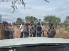 新埃斯佩兰萨严重土地纠纷:两兄弟遭到武装团体袭击并住院 Grave disputa por tierras en Nueva Esperanza: dos hermanos fueron atacados por un grupo armado y terminaron hospitalizados