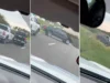 11号公路中间的酷刑和枪击:两辆被盗卡车被劫持,其中两辆在逃 Persecución y disparos en plena Ruta 11: secuestraron dos camionetas robadas y hay dos prófugos