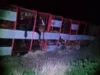 一只动物穿越 21 号公路,导致一辆运载物品的卡车翻车 – Diario Panorama